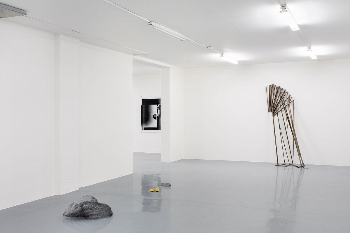 5_foto_toast_IMGL4985