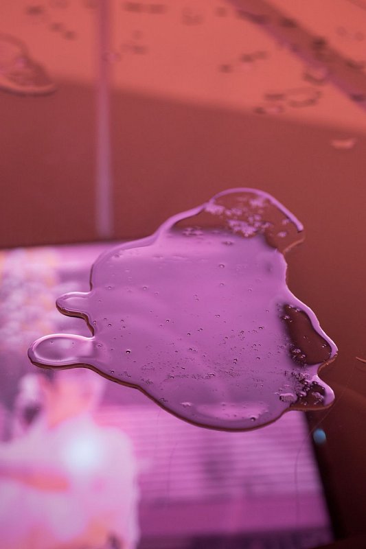 3_2018_foto_toast_IMG_6057