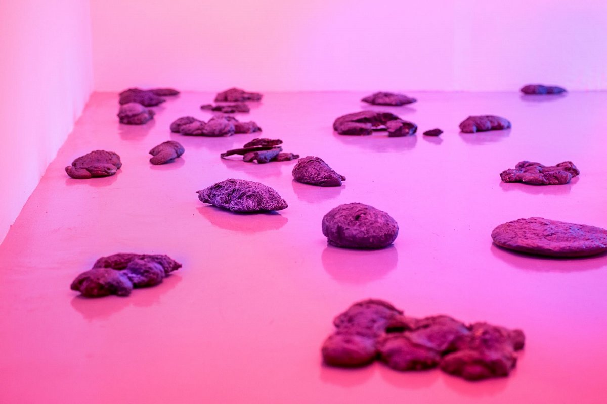 5_2018_foto_toast_IMG_6021