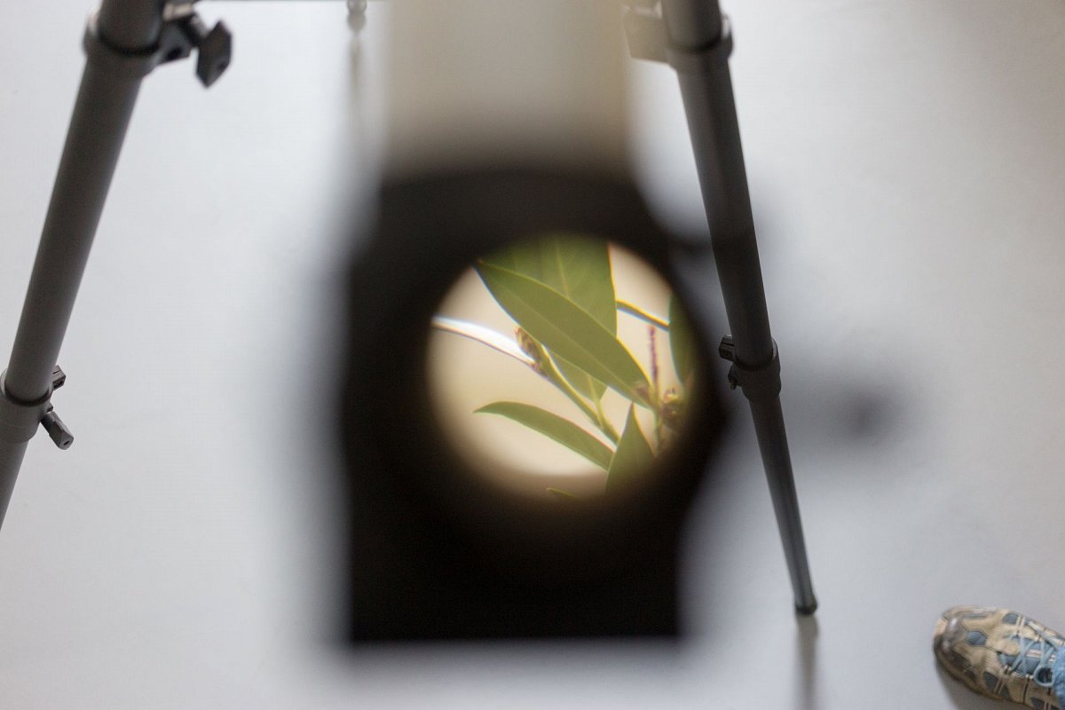 2018_foto_toast_IMG_4031