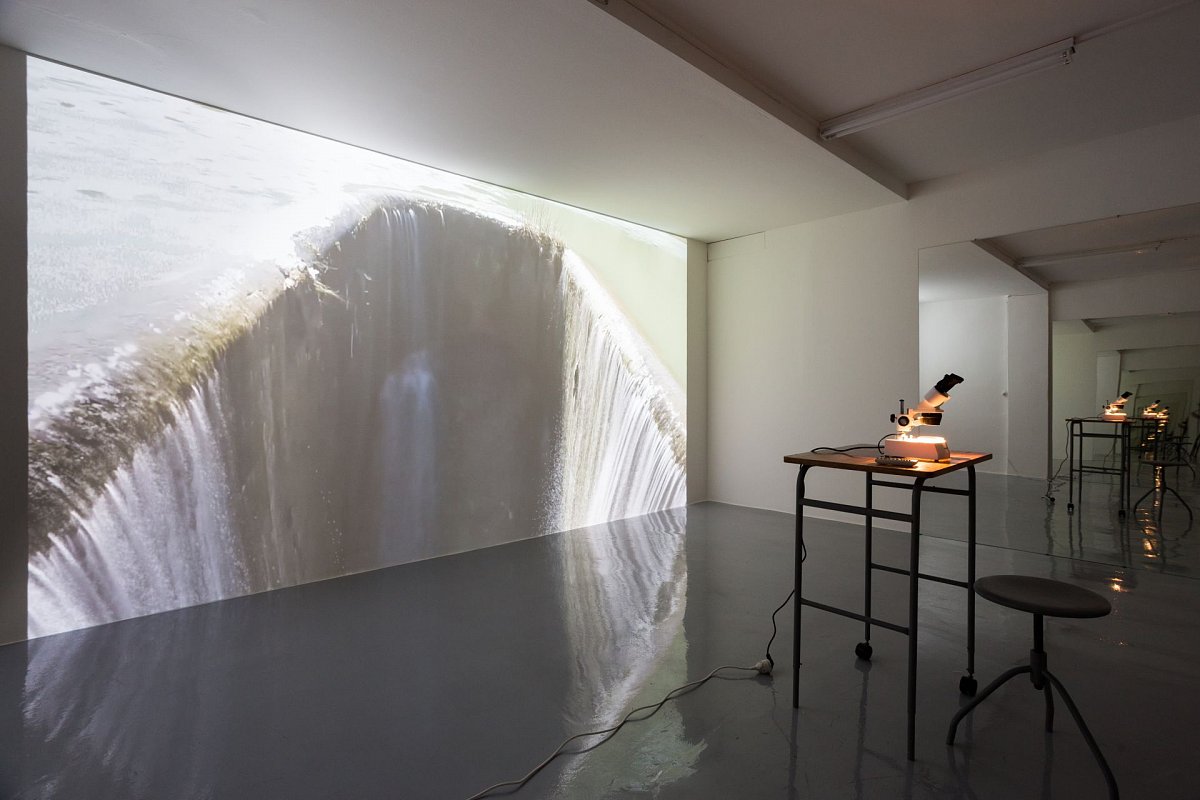 2018_foto_toast_IMG_4303