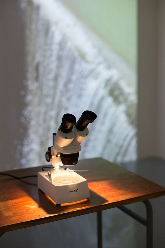 2018_foto_toast_IMG_4312