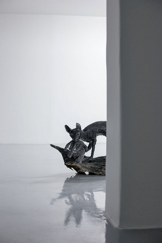 2018_foto_toast_IMG_4315